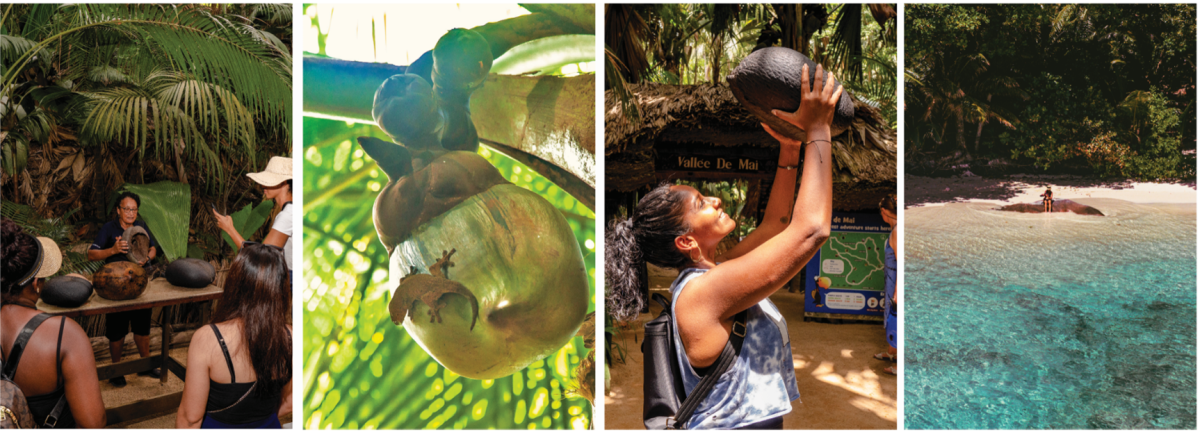 - Partenza da Mahe, La Digue e Praslin -