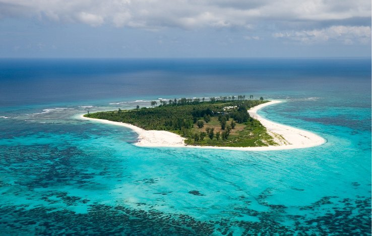 Bird Island