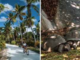 Escursione in barca e bici a La Digue