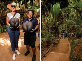 Passeggiata incantata nella Valle de Mai