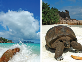 Una storia di 3 isole!