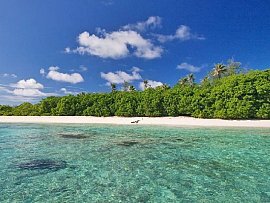 Bird_island_hirondelle_beach_viaggidinozze