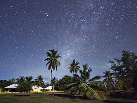 Bird_island_hirondelle_night_viaggidinozze