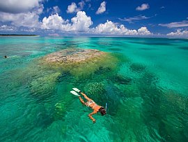 alphonse_island_snorkelin