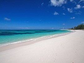 Bird_island_ovest_beach_viaggidinozze