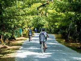 L'UNION ESTARE CYCLIST VANILLA PLANTATION