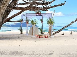 wedding_sez