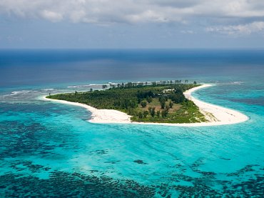 Bird Island