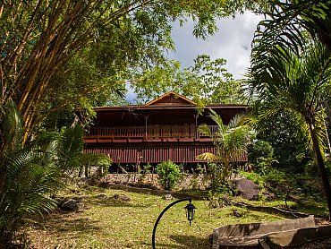 cerf_island_Tortoise_suite