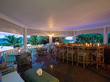 COUSINe_island_Gecko_Bar COUSINe_island_Gecko_Bar