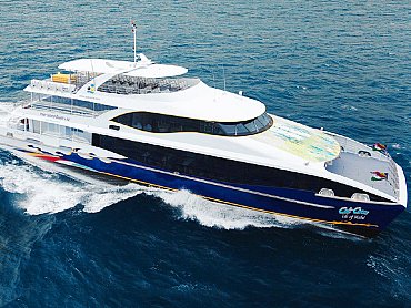 Cat_cocos_seychelles_viaggidinozze1