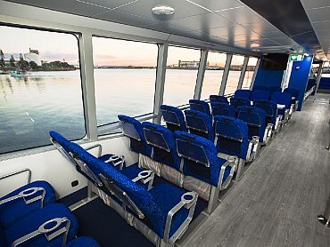 Cat_cocos_seychelles_viaggidinozze4