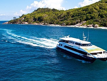 Praslin_Cat_cocos_seychelles_viaggidinozze