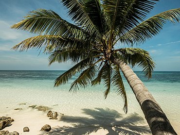 desroches_fourseasons_spiaggia2