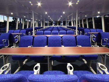 Cat_cocos_seychelles_viaggidinozze6