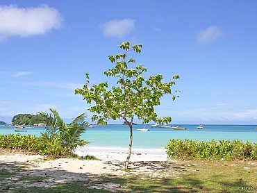 Pirogue_spiaggia_fronte_praslin