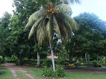 entrance_Chalet_bamboo_Vert entrance_Chalet_bamboo_Vert