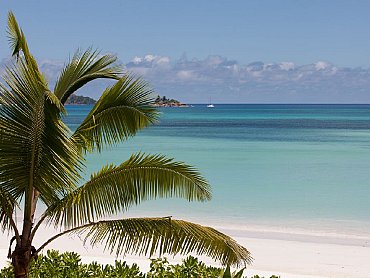 acajou_esterno_spiaggia4