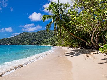 Chalets_d'Anse_Forbans_Beach_Bungalow_beach Chalets_d'Anse_Forbans_Beach_Bungalow_beach