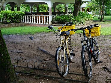 Chalet_bamboo_Vert_bike Chalet_bamboo_Vert_bike