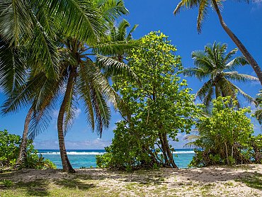 Chalets_d'Anse_Forbans_Beach_Bungalow_vista Chalets_d'Anse_Forbans_Beach_Bungalow_vista