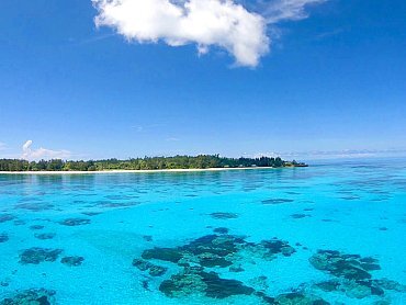 ISLAND VIEW
