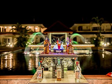 BAR & WATER FOUNTAIN WITH LIGHTS