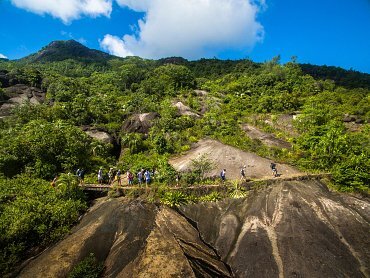 AERIAL VIEW OF ANSE MAJOR NATURE TRAIL