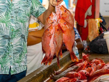 FISH MARKET_11zon