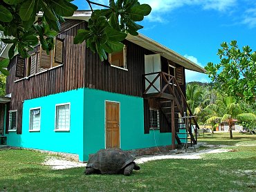 CURIEUSE DOCTOR'S HOUSE