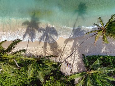 Beach_Grand_Anse_Hammock_Guest_aerial_[7967-A4]