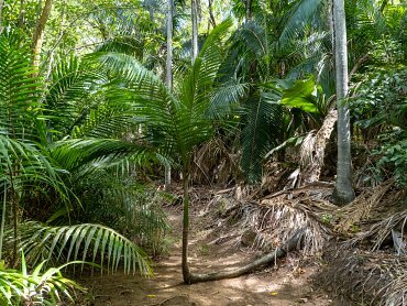 CAP LAZARE NATURE TRAIL
