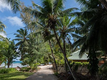 ROAD TO ANSE SEVER_ANSESEVEREBEACHVILLA_LADIGUE