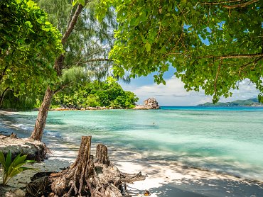 ANSE SEVERE BEACH BEHIND BIKINI BOTTOM
