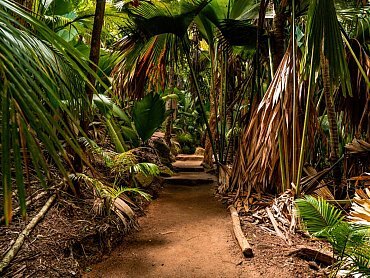 PATHWAY INSIDE THE VALLEE DE MAI