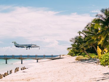 Plane Arrival