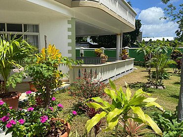 340 DEGREES MOUNTAIN VIEW APARTMENT_Garden 2