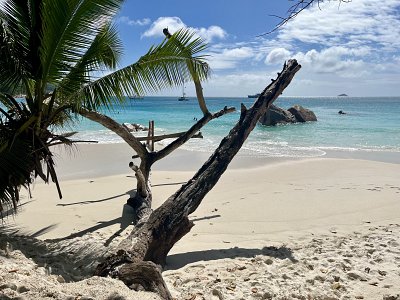Seychelles 2025: nuovi collegamenti aerei e tante novità per scoprire il paradiso