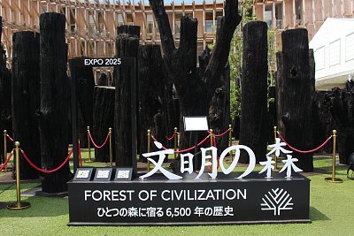 Seychelles protagoniste a Expo 2025 Osaka con la “Foresta delle Civiltà”